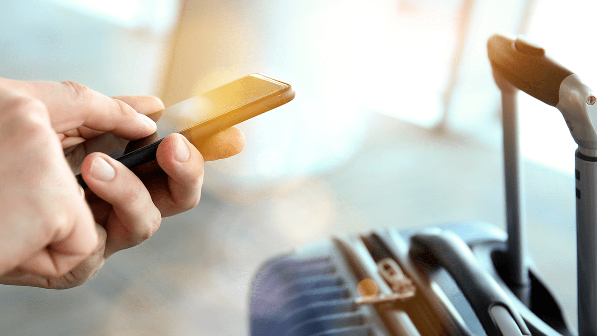 z-Layout-IPX-Connection-min